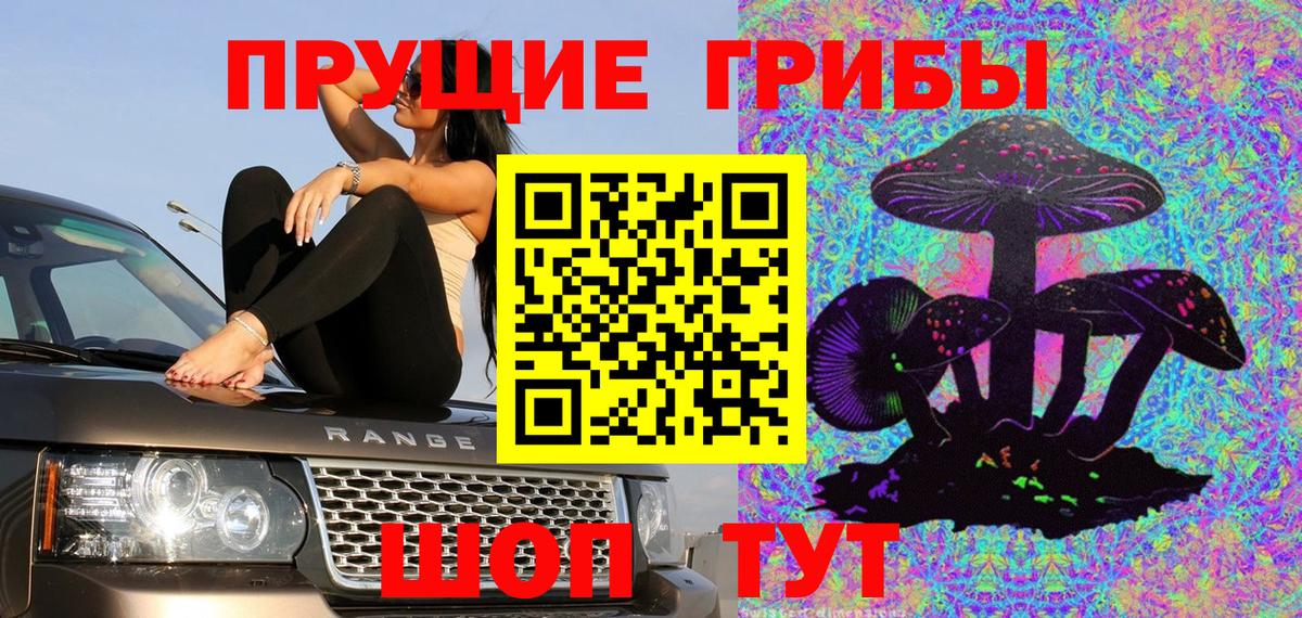 Псилоцибиновые грибы GOLDEN TEACHER Добрянка